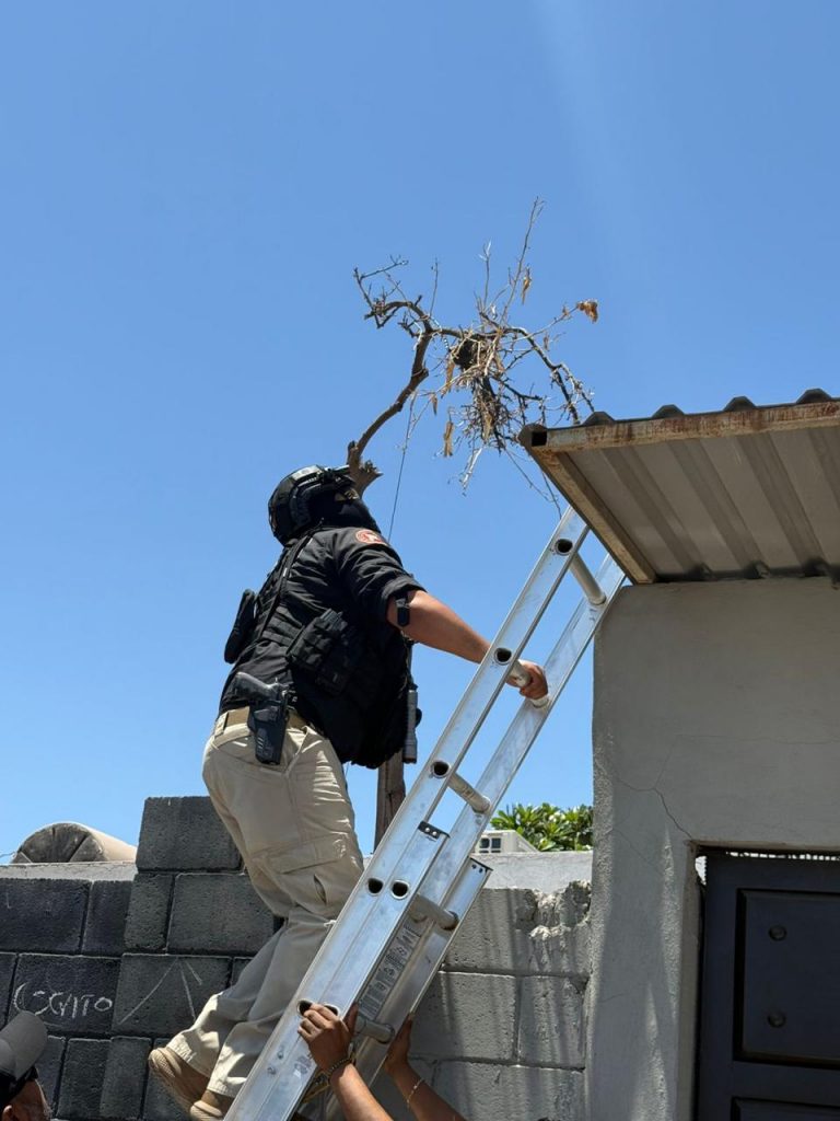 Aseguran cámaras de videovigilancia irregulares en Ciudad Obregón