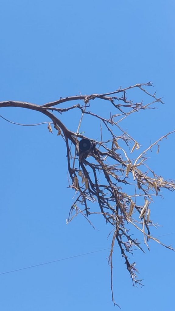 Aseguran cámaras de videovigilancia irregulares en Ciudad Obregón