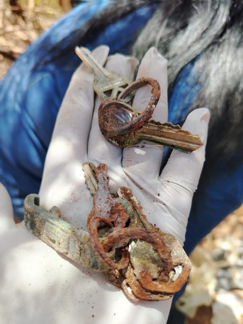 Hoy encontramos 6 cuerpos, todos ocultos entre la tierra y el dolor con que se fueron de este mundo. Estábamos caminando sobre un panteón clandestino.